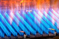 Trelan gas fired boilers